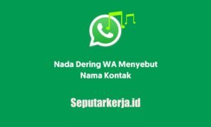 aplikasi nada dering whatsApp untuk memberitahu nama kontak