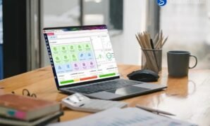 software keuangan online