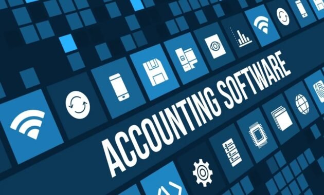 software keuangan online